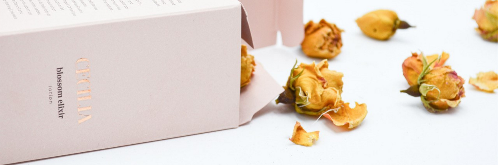 Introducing - Cecilia Holistic Beauty