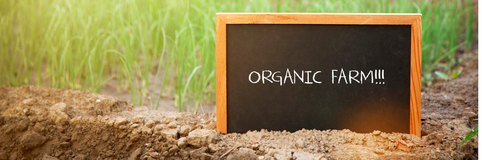 Le Prunier Australia,.